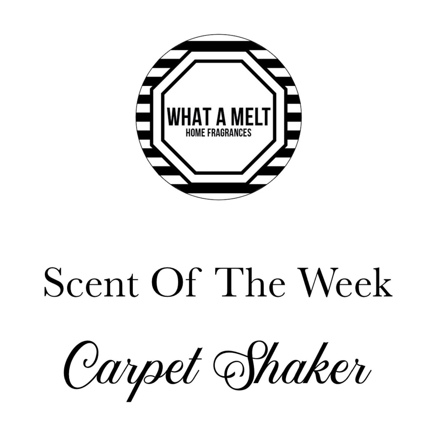 SOTW Carpet Shaker