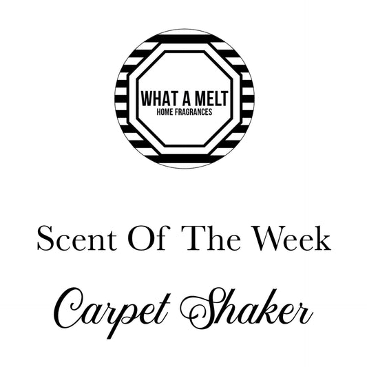 SOTW Carpet Shaker