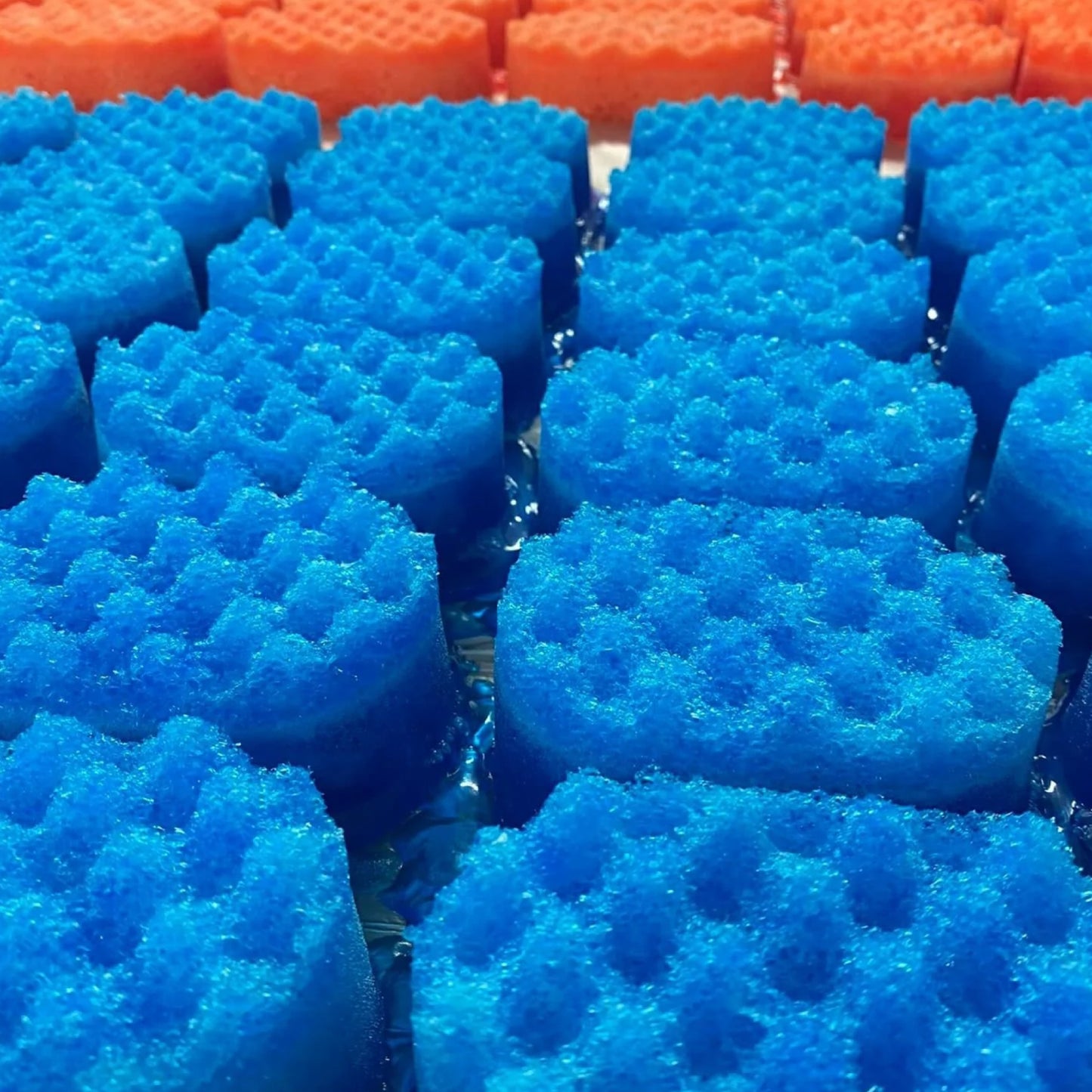 Bacc Rougey Soap Sponge