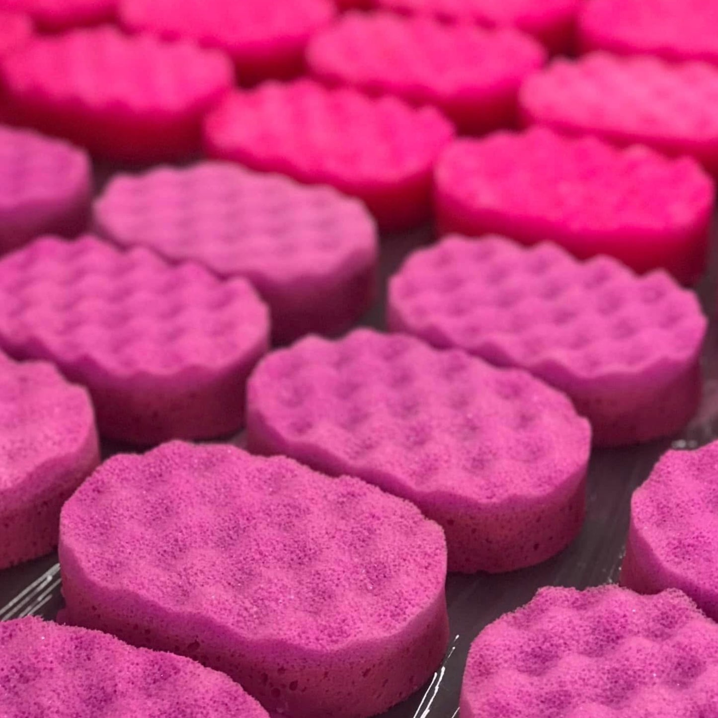 Snowy Fairies Soap Sponge